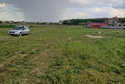 Spațiu comercial, în Gulia - 3