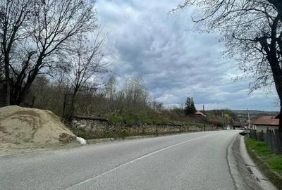 Vanzare teren intravilan - Runcu - oportunitate intr-o zona turistica deosebita - 9