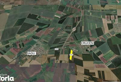 Teren de 100000 mp, în Șagu - 3