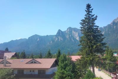 Apartament 2 camere in vila, peisaj fantastic catre mun?ii Bucegi!!! - 2