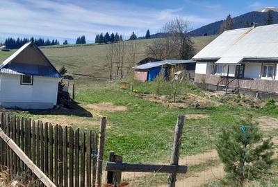 Casă cu 3 camere cu Teren 3892 Mp în Dorna Candrenilor - 4