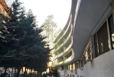 Apartament cu 2 camere semidecomandat în Chiajna - 1