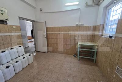 Spațiu comercial, de 250 mp, în Central - 11