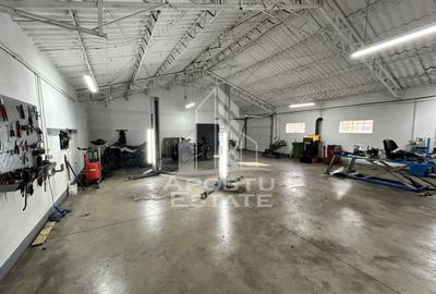 Service auto utilat,  Cheveresul Mare, 20 km de Timisoara. - 7