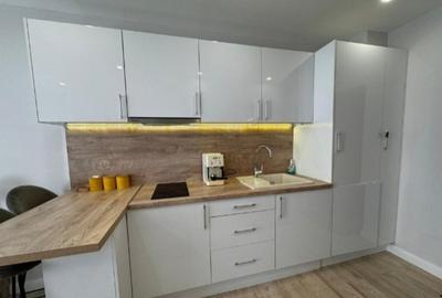 Apartament de vanzare zona Aradului - 3