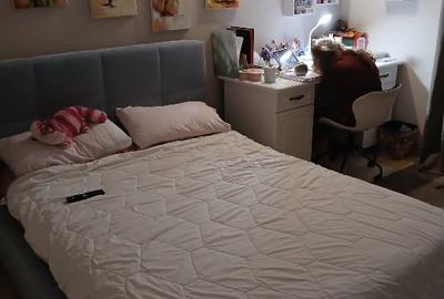 Casa parter+ etaj, zona complex unirii - 4