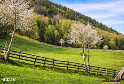 Spațiu comercial, în Fundata - 6