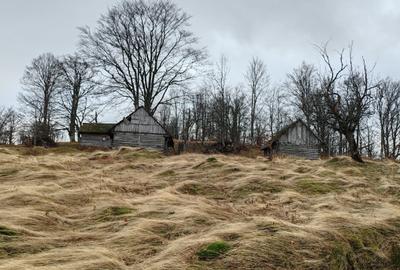 19,5 Ha  TEREN PEISAJ PANORAMIC SPECTACULOS zona turistica montana BULZ -  BIHOR - 12