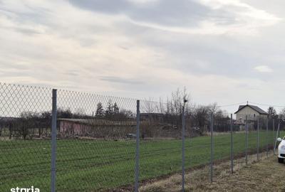 Casă cu 3 camere cu Teren 400 Mp în Moara Vlăsiei - 3