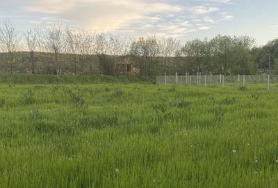 Teren de 2750 mp, în Bucovăț - 1
