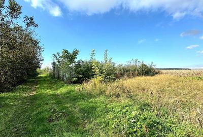 Livada+gradina, teren intravilan 2902mp, Damienesti-Bacau, comision 0 - 12