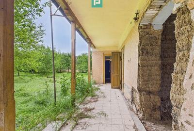 Casă cu 3 camere cu Teren 1547 Mp în Variaș - 13