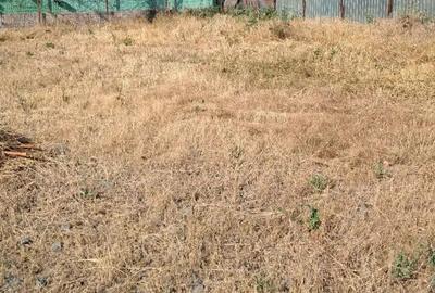 Bratianu..teren 305 metri cu descghidere dubla de 17 metri Bratianu..teren 305 metri cu descghidere dubla de 17 metri - 4