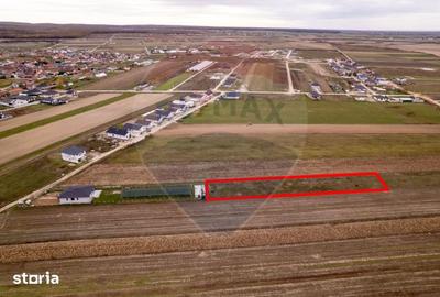 Teren de 1417 mp, în Sânmartin - 6