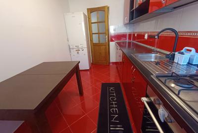 Apartament cu 2 camere decomandat în Turnișor - 1