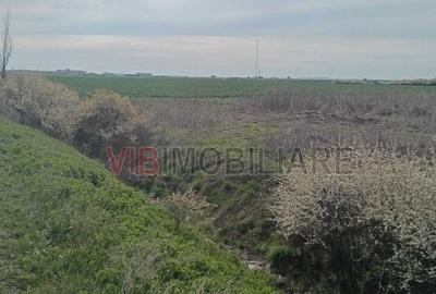 Teren de 10000 mp, în Săcălaz