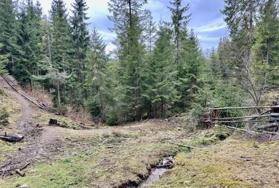 TEREN PARCELABIL, aproape de partia de ski Marisel si Crucea Iancului - 6