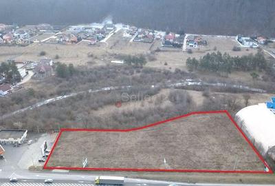 Teren de 8444 mp, în Timișu de Jos - 3