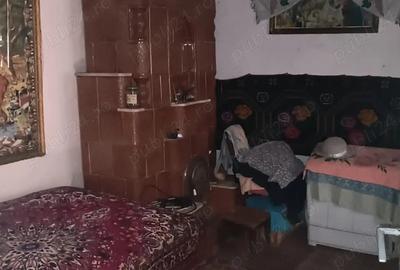 Vand casa 40 km de Bucuresti - 3