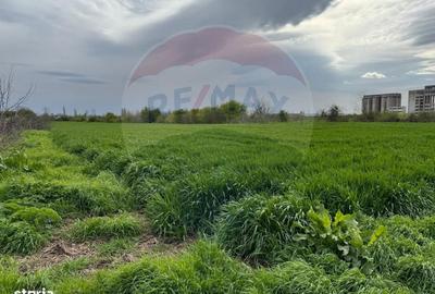 Spațiu comercial, în Remuș - 7