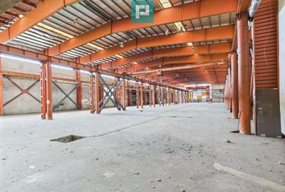 Hala industriala cu pod rulant ?i parcare betonata - 8