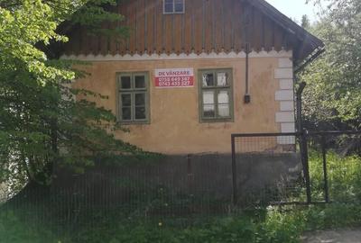Teren de 33677 mp, în Iacobeni - 3