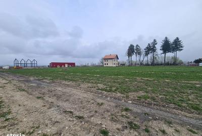 Spațiu comercial, în Prejmer - 3
