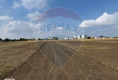 Spațiu comercial, în Ișalnița - 4