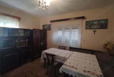 Casă cu 4 camere cu Teren 6300 Mp în Iteu - 1