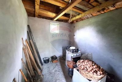 Casă cu 2 camere cu Teren 5361 Mp în Homești - 11