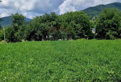 Teren intravilan 1000 mp Vii?oara, utilita?i - 5