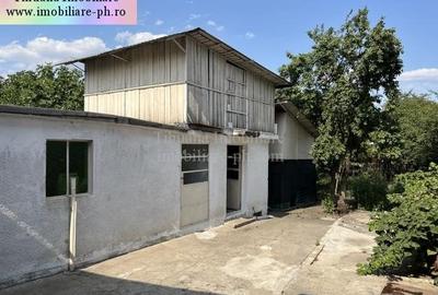 Tihuana Imobiliare:casa de vanzare-Buna Vestire - 7