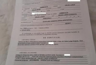 Teren de 7000 mp, în Ștubeie Tisa - 3