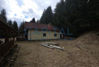 Cabana la munte Rucar / Satic - 5