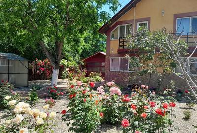 Movilita (IL) - de vanzare casa 5 cam p+1 - 5