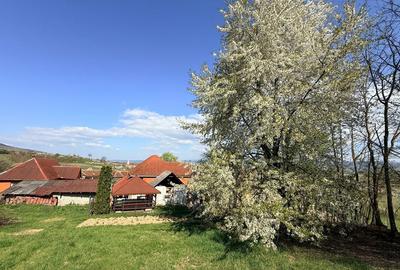 Casă cu 4 camere în Dobricionești - 4