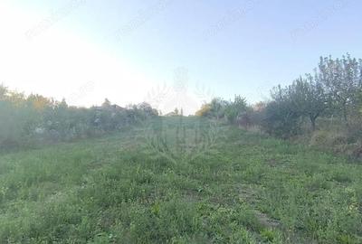 Teren de 3017 mp, în Plopu - 3