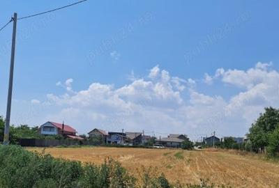 Teren de 5000 mp, în Lazu - 1