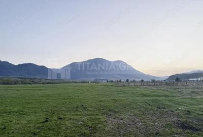 Teren de 7838 mp, în Zărnești - 11