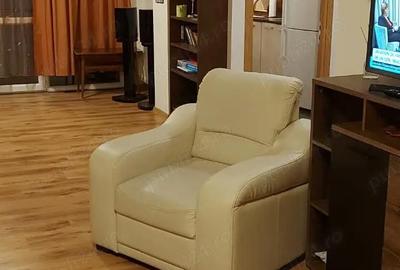 Apartament cu 2 camere semidecomandat în Ozana - 6