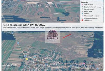 Teren agricol extravilan de 1.0099999904633 mp, în Rogova - 2