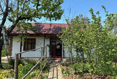 Casă cu 5 camere cu Teren 1422 Mp în Alexeni - 2