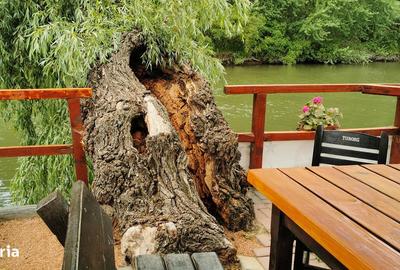 Casă cu Teren 1500 Mp în Murighiol - 9