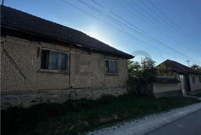Casă cu 2 camere cu Teren 4000 Mp în Budureasa - 8