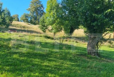 Teren de 2500 mp, în Central