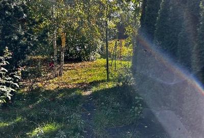 Teren cu casa lemn Snagov ieșire lac - 4