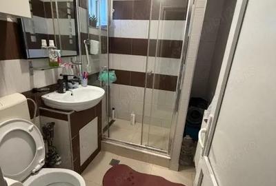 Apartament cu 2 camere semidecomandat în Craiovița Nouă - 7