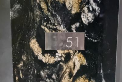 Garsonieră semidecomandată în Băneasa - 12