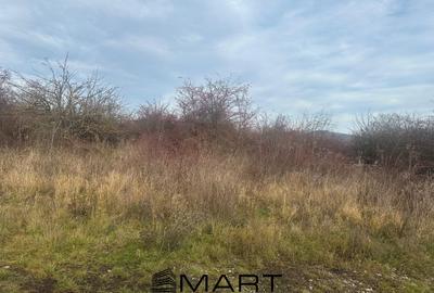 Teren Intravilan 1105 mp Sanpetru - 4