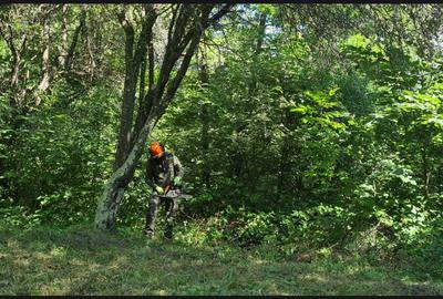 Spațiu comercial, în Măldărești - 5